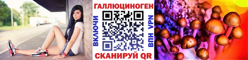 Галлюциногенные грибы Cubensis  ОМГ ОМГ ONION  Муром  как найти  