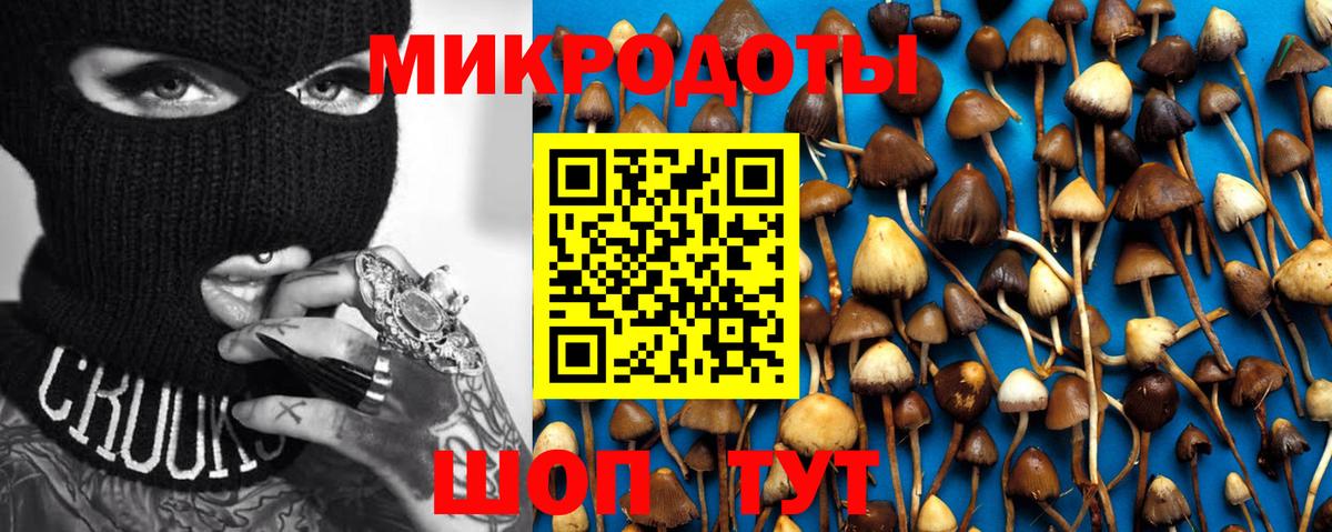 Муром  Псилоцибиновые грибы мухоморы  Псилоцибиновые грибы Psilocybine cubensis  Вход с VPN 